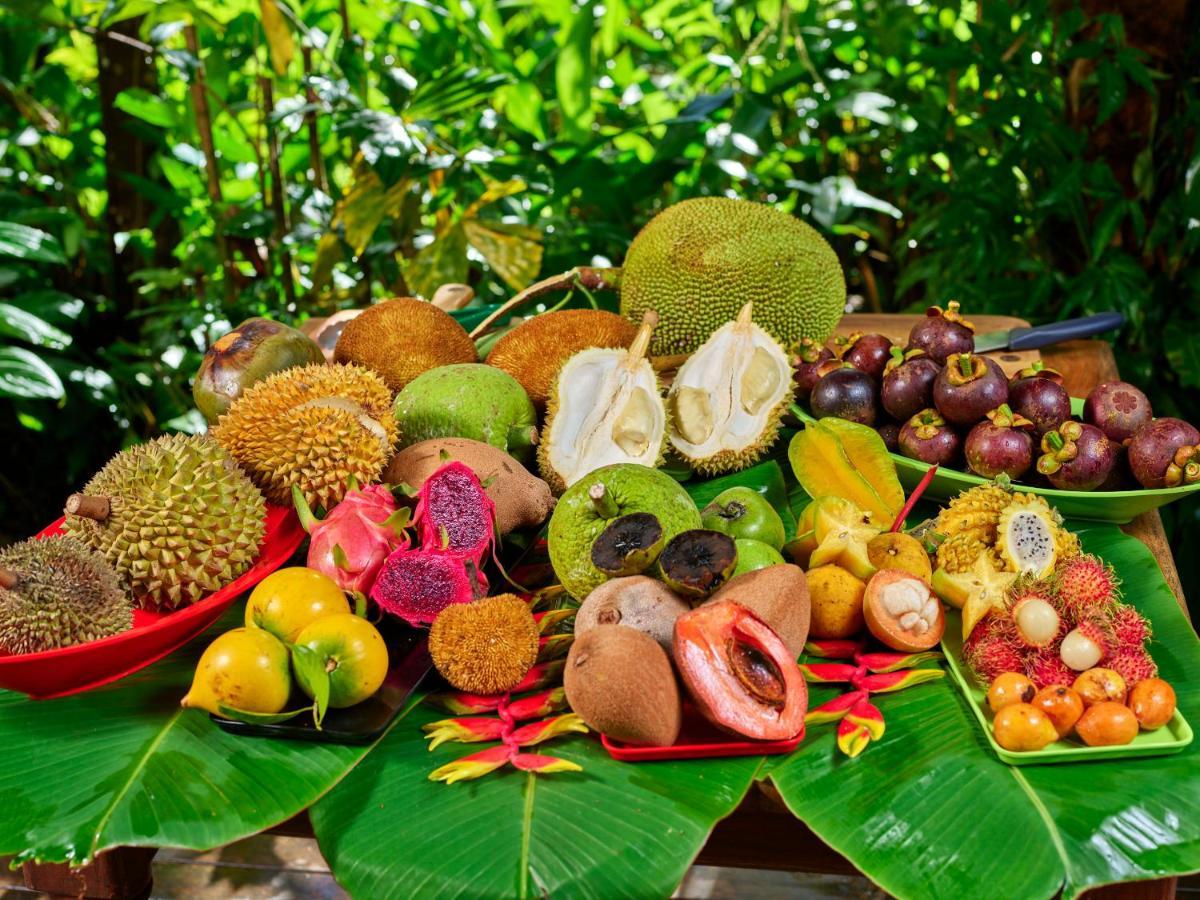 Cape Trib Farm Bed & Breakfast Cape Tribulation Exterior foto