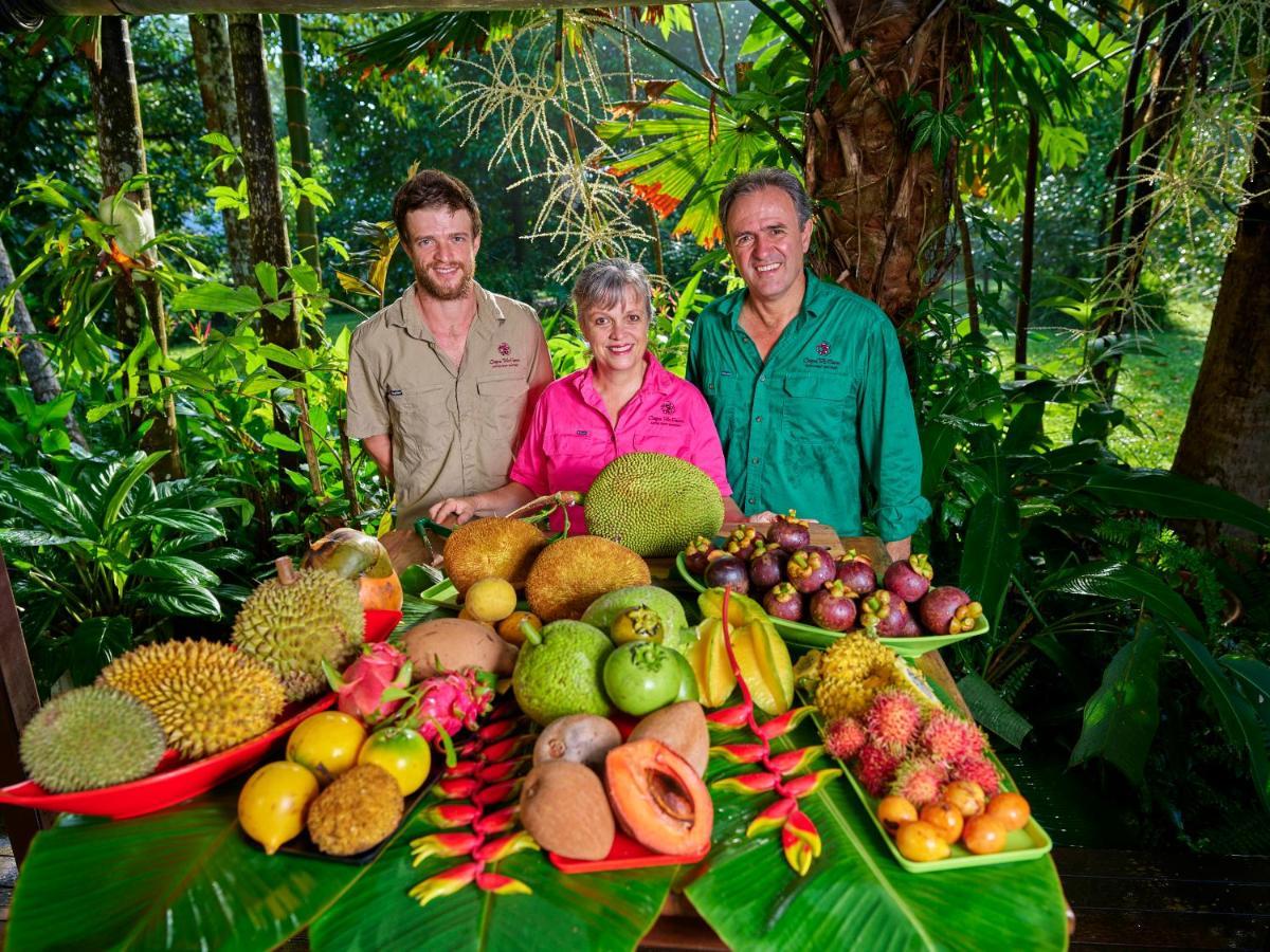 Cape Trib Farm Bed & Breakfast Cape Tribulation Exterior foto