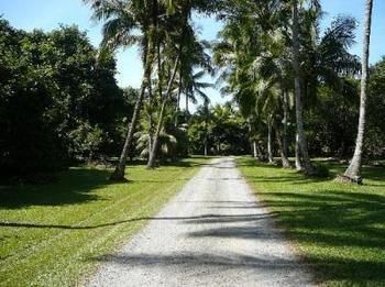 Cape Trib Farm Bed & Breakfast Cape Tribulation Exterior foto